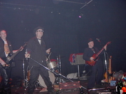 gecko band